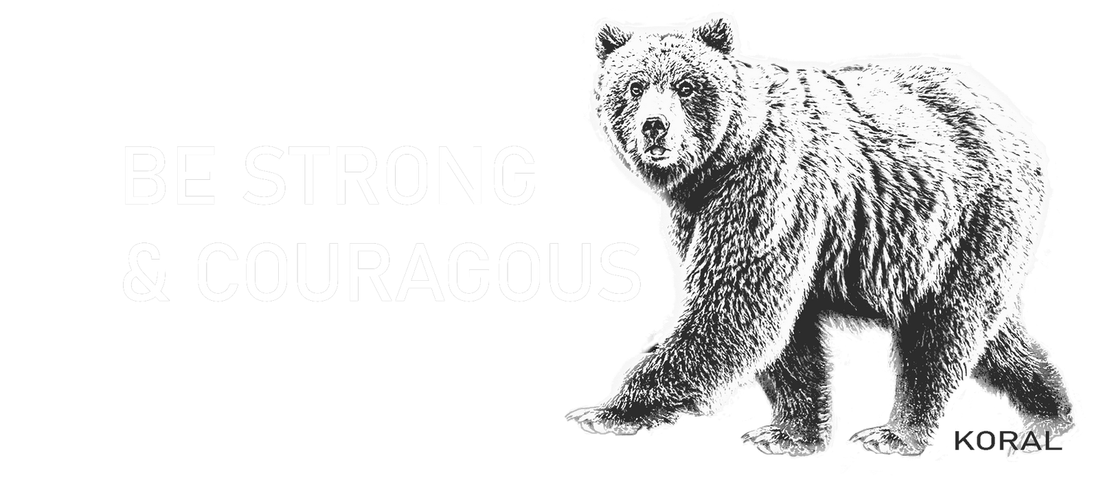 Home Nature and Wildlife Photography Gear